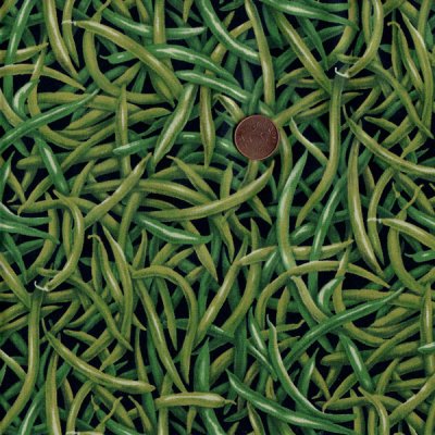 19215 Haricotverts, tygbredd 110 cm