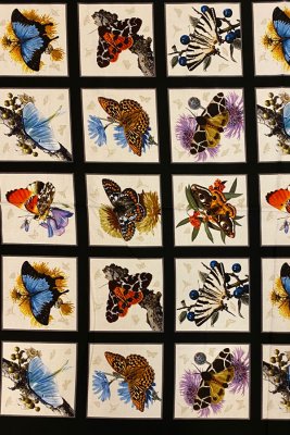 3606 Exotiska fjärilar i rutor, (rapport) tygbredd 110 cm