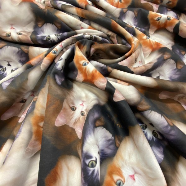 179, Alpenfleece katter.