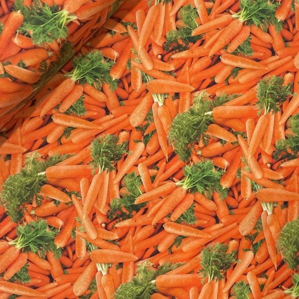 quilttyger-lapptäckstyger-morot