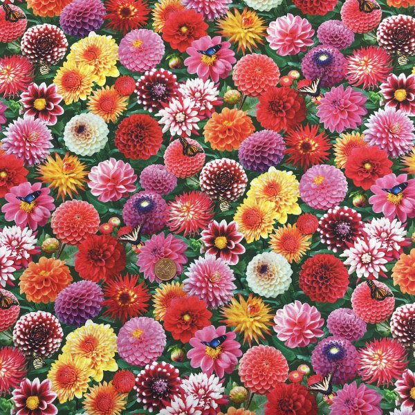 21108, Dahlia,, tygbredd 110 cm.