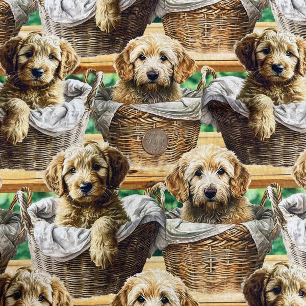 quilttyger-lapptäckstyger-hundvalpar