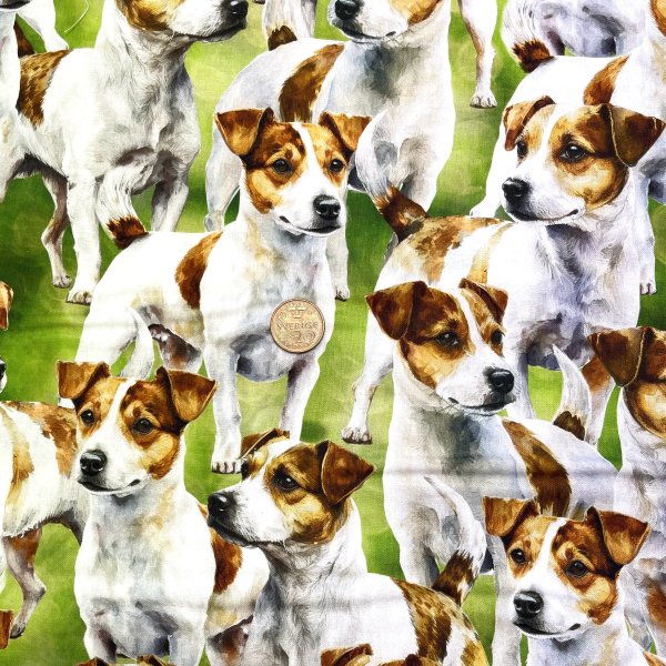 quilttyger-lapptäckstyger-hundar-jackrussel